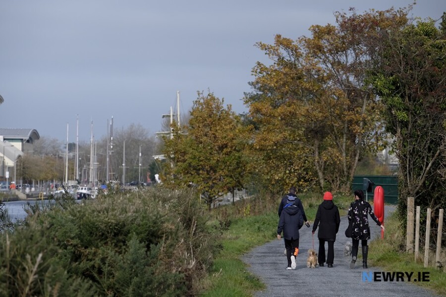 The Carlingford Lough Greenway at Newry. Photograph: Columba O'Hare/ Newry.ie 
