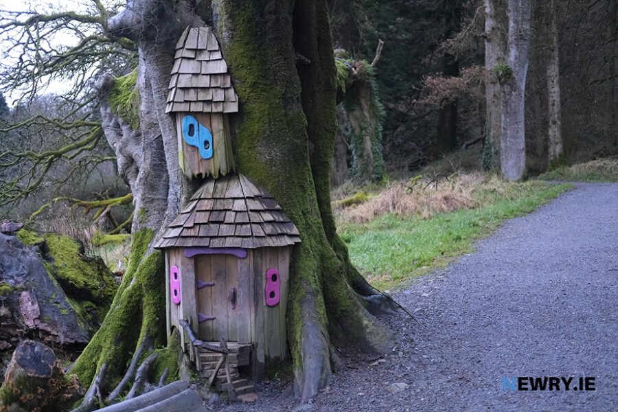 The Giants Lair, Slieve Gullion Forest Park. Photograph: Columba O'Hare/ Newry.ie 