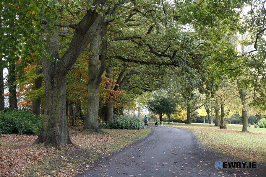 Lurgan Park. Photograph: Columba O'Hare/ Newry.ie 
