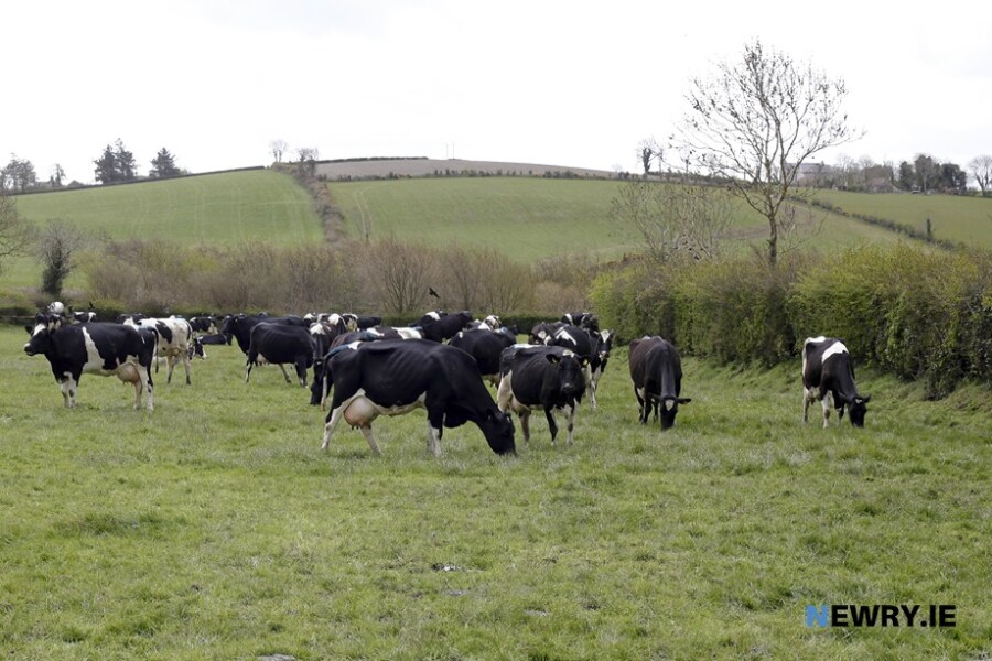Over the last six years, 1000 km of hedges have been planted or enhanced