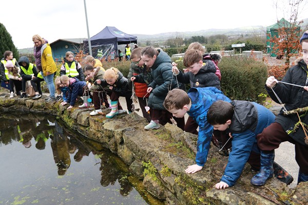 A favourite activity for the primary school pupils at Dragons In The Hills at Slieve Gullion is checking the pond for the many different insects, habitats and life cycles going on.