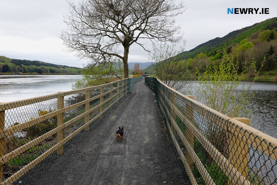 The Carlingford Lough Greenway. Photograph: Columba O'Hare/ Newry.ie 