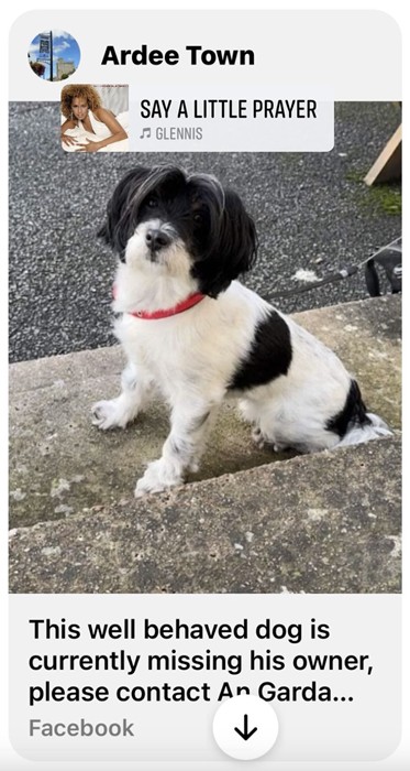 Max arrives in Ardee!