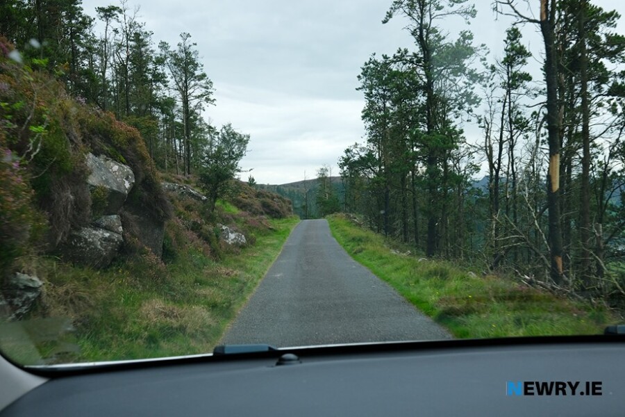 Slieve Gullion Forest Park. Photograph: Columba O'Hare/ Newry.ie 