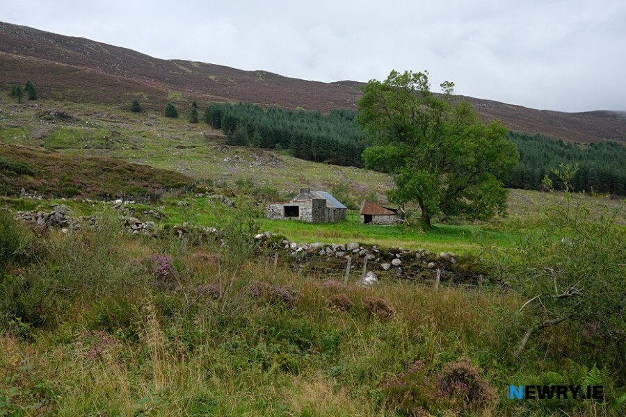 The slopes of Slieve Gullion.