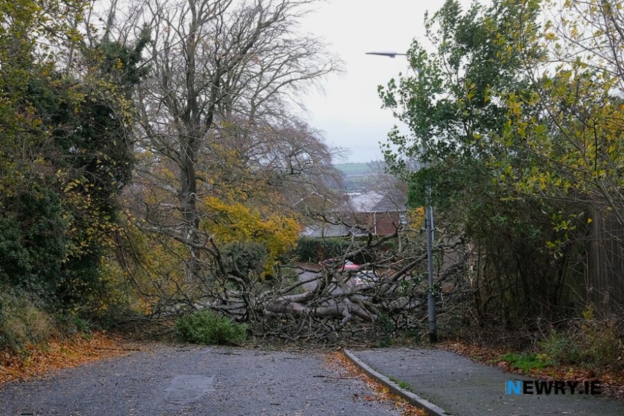 The public are asked to exert extra care for the next 24 hours as Storm Isha approaches. (File Photograph) Photograph: Columba O'Hare/ Newry.ie 