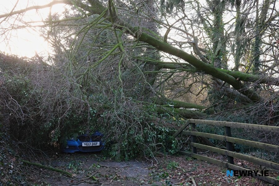 The public are asked to exercise care today as the second storm of the week approaches. This driver was extremely lucky to walk away from this scene during Storm Isha on Sunday night. Photograph: Columba O'Hare/ Newry.ie 