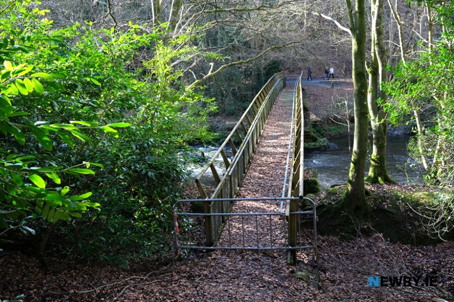 The bridge at Clare Glen. Photograph: Columba O'Hare/ Newry.ie 