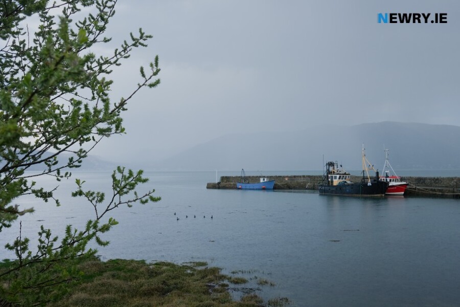 Carlingford Lough. Photograph: Columba O'Hare/ Newry.ie 