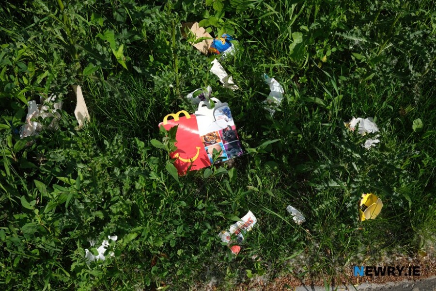 Roadsides are littered throughout the district with rubbish discarded from vehicles. Photograph: Columba O'Hare/ Newry.ie 