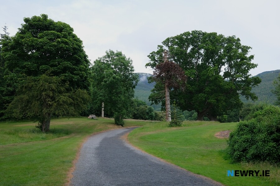 Kilbroney Forest Park. Photograph: Columba O'Hare/ Newry.ie 