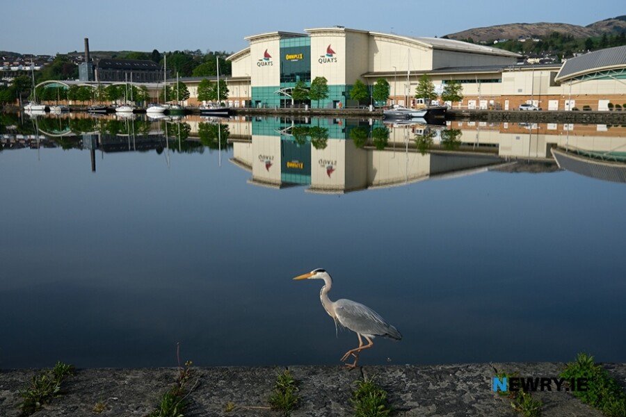The Albert Basin, Newry. Photograph: Columba O'Hare/ Newry.ie 