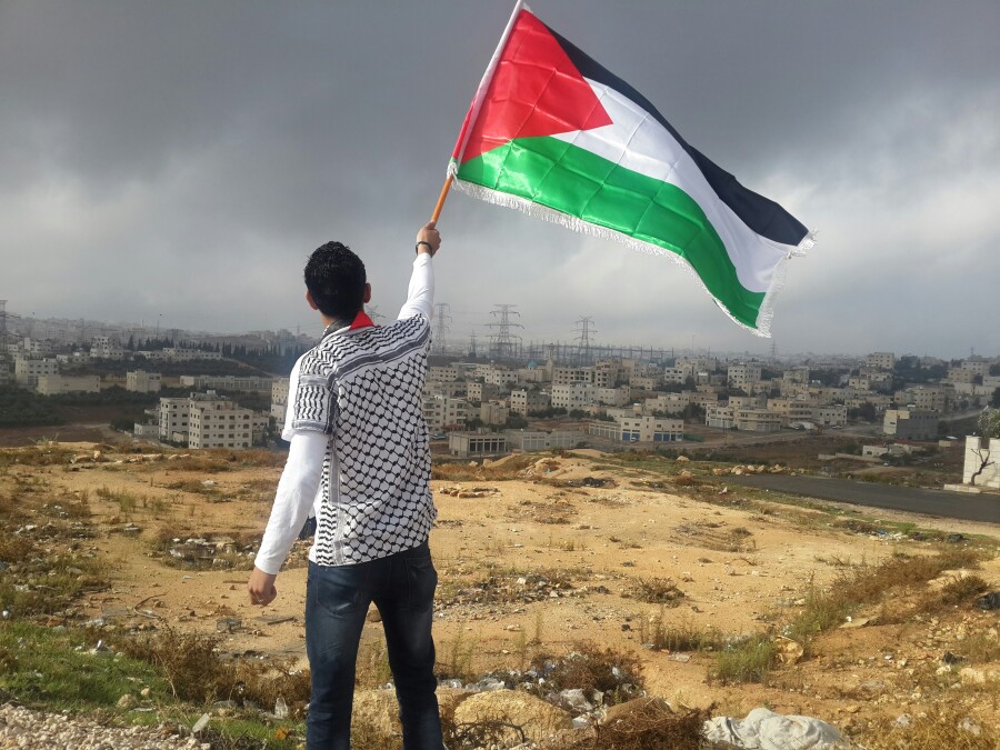 Photograph: Ahmed Abu Hameeda/ Unsplash