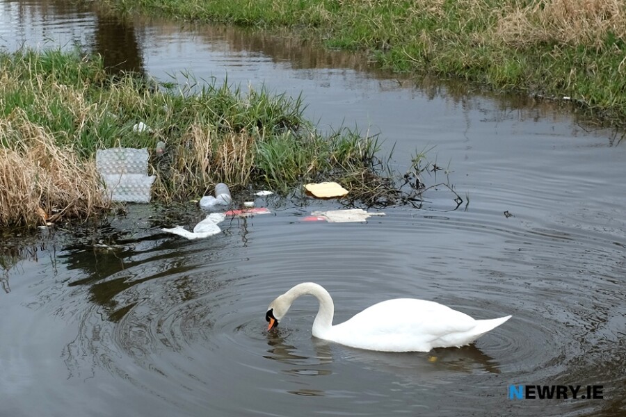 Newry Canal. Photograph: Columba O'Hare/ Newry.ie 