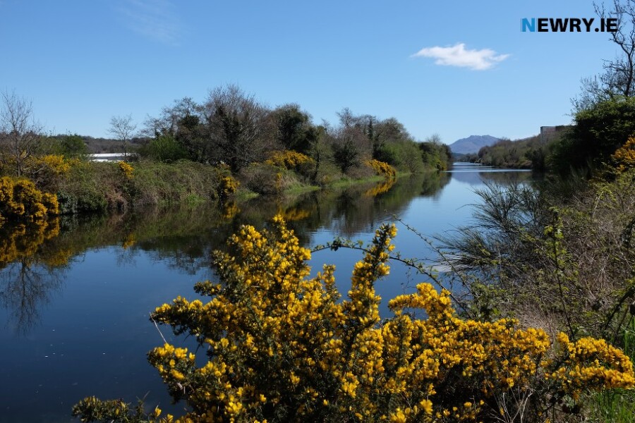 The view of Slieve Foye from Newry Ship Canal. Photograph: Columba O'Hare/ Newry.ie 