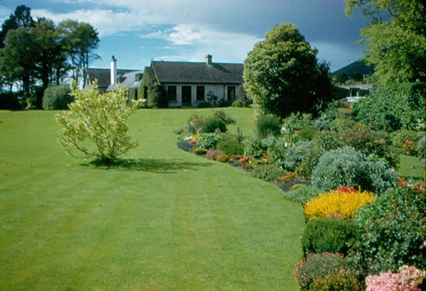 The garden of Major and Mrs G.W. Reside at Killowen Cottage for which Daisy Hill Nurseries supplied many of the plants and shrubs. Pictured here in the early 1960s, the garden was featured on television on a number of occasions. Newry and Mourne Museum Collection