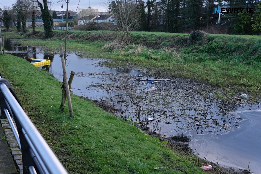 The scene of the oil pollution incident today. Photograph: Columba O'Hare/ Newry.ie 