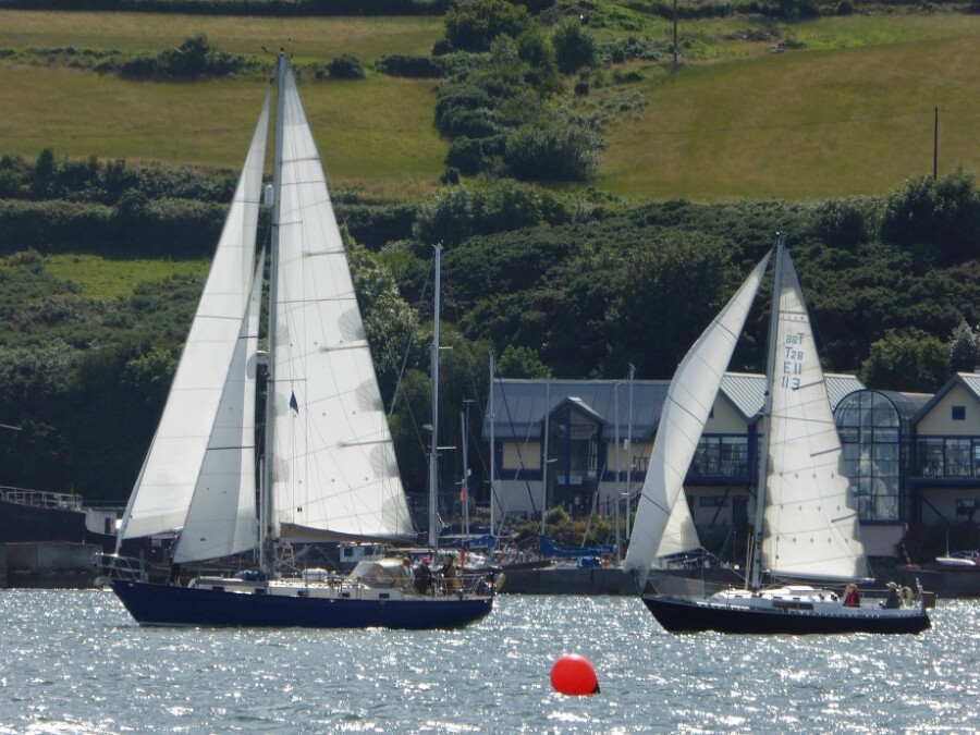 Boats Sailing Past Carlingford Marina.