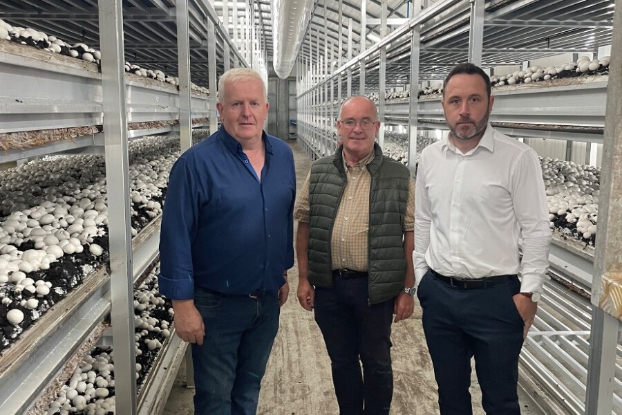 Pictured at C&L Mushrooms are from left: Gerard Fegan C&L Mushrooms, Cllr Declan McAteer and Cllr Pete Byrne.