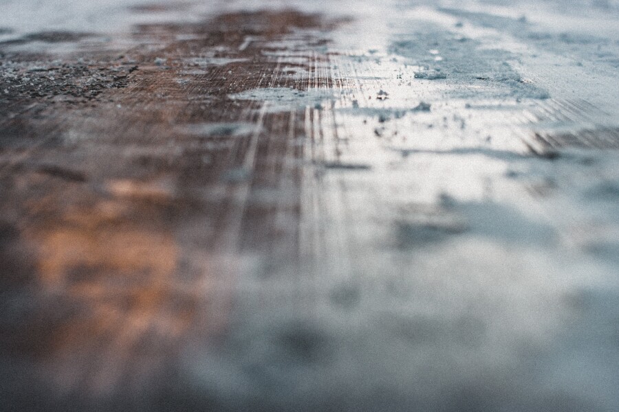 Photograph: Max Fuchs/ Unsplash