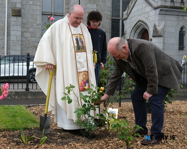 Canon Brown plants a rose bush to commemorate the Golden Anniversary of his Ordination to the Priesthood. 