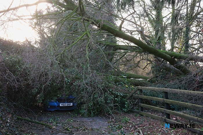 The car on the Turnavall Road.