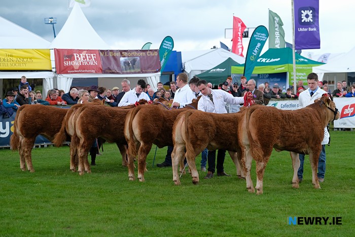 Balmoral Show 2023. Photograph: Columba O'Hare/ Newry.ie
