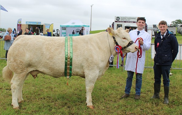 Martin Rodgers, from Dromara, with the Blonde d'Aquitaine champion at Newry Show 2024 - the second calver: Hillhead Rose. Adding his congratulations is judge: Colin McKnight