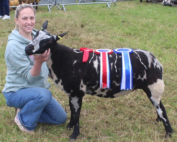 Orla Grant, from Kilcco with the Dutch Spotted sheep champion at Newry Show 2024