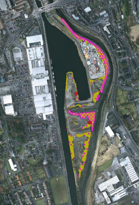 An image of the site with hogweed contamination areas marked.