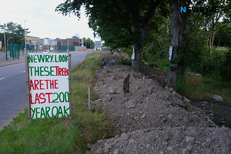 The location of proposed flood defence system at Greenbank. Photograph: Columba O'Hare/ Newry.ie 