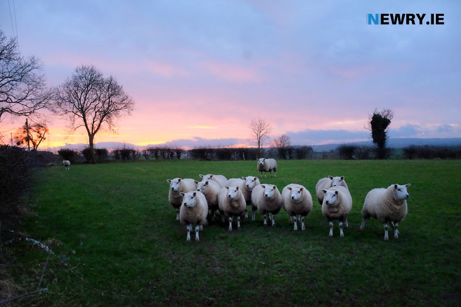 A Department of Agriculture proposals to increase the minimum claim size from the current 3 hectares (7.4 acres) to 10 hectares (24.7 acres) if implemented, would exclude thousands of small farmers, putting many of them out of business.