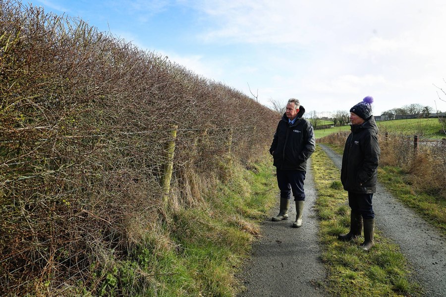 Environment Minister Edwin Poots visited the farm of Ivor Girvan who received funding from the Environmental Farming Scheme (EFS) to plant new hedgerows.