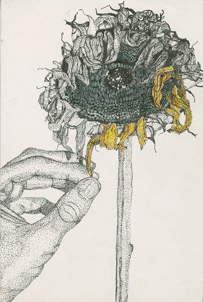 An art piece from Aidan Lavery which won a Special Merit Award.