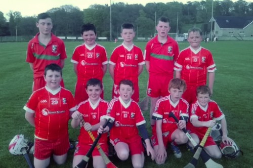 Craobh Rua Camlocha Under 12 Hurlers prior to the Dungannon Match