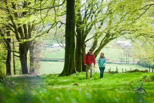 Get out walking next weekend.