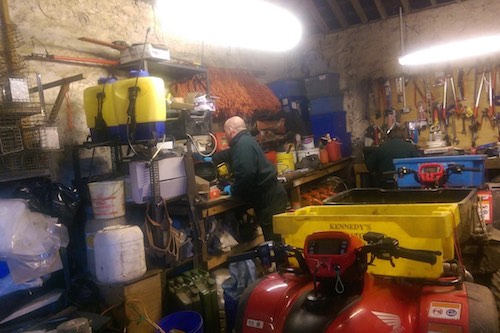 Police, NIEA and HSE conduct searches in relation to wildlife crime Police, NIEA and HSE conduct searches in relation to wildlife crime