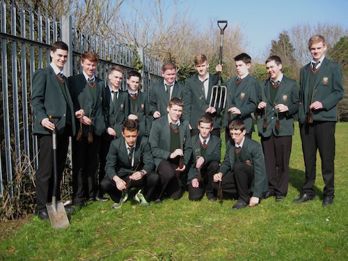 Year 12 pupils planting the trees. Year 12 pupils planting the trees.