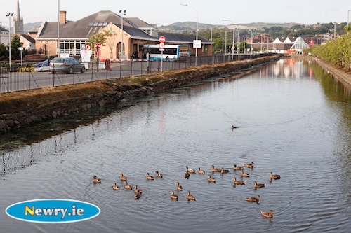 Is Newry as safe a place to live in now as it was years ago? Is Newry as safe a place to live in now as it was years ago?