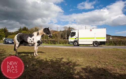 The Bomb disposal team at the scene. Photograph: NewRayPics The Bomb disposal team at the scene. Photograph: NewRayPics