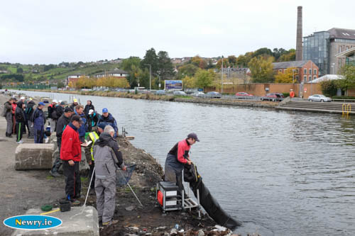 The Home International weigh in at the Albert Basin. Photograph: Columba O'Hare The Home International weigh in at the Albert Basin. Photograph: Columba O'Hare