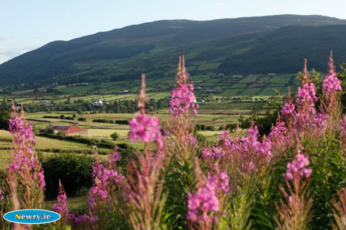 Slieve Gullion Slieve Gullion