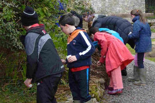 Searching for smaller wildlife at Slieve Gullion Courtyard