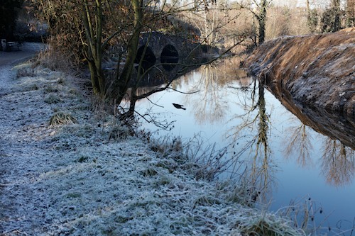 A frosty morning on Newry Canal. Picture: Columba O'Hare A frosty morning on Newry Canal. Picture: Columba O'Hare
