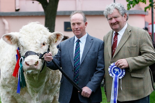 Sportsman Columbo at Balmoral Show Sportsman Columbo at Balmoral Show