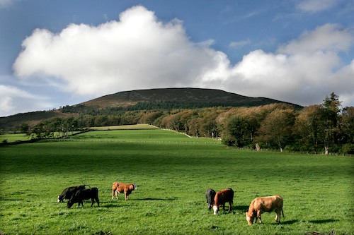 Slieve Gullion