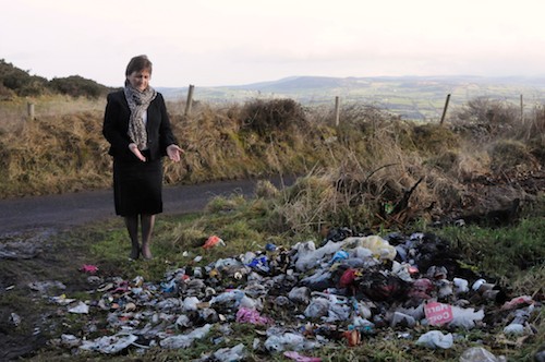 SDLP Councillor Geraldine Donnelly inspects just a small portion of the revolting array of household waste dumped on the Windy Road, Flagstaff.