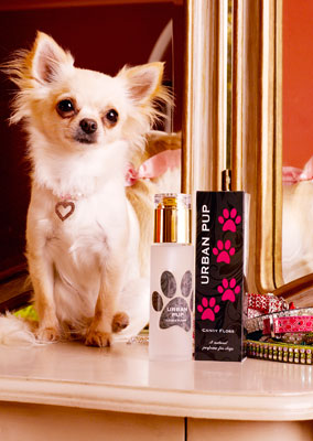 Urban Pup - The Smell of Success