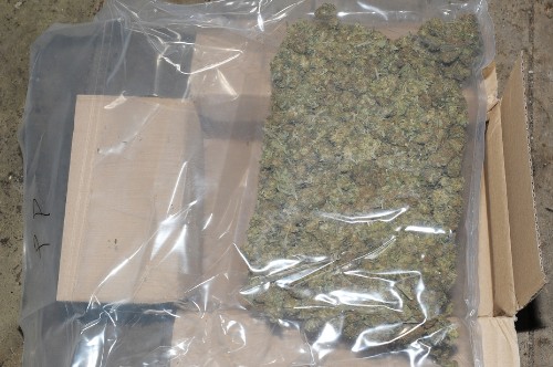 Part of the Cannabis Haul