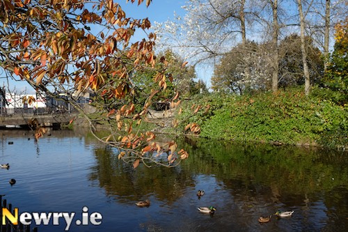 Newry Canal has so much potential. Photograph: Columba O'Hare